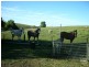 Lot 3 Rosedale Road, Rosedale SA 5350