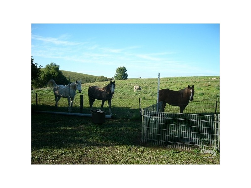 Lot 3 Rosedale Road, Rosedale SA 5350