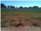 Lot 11 Pinneri Street, Hectorville SA 5073