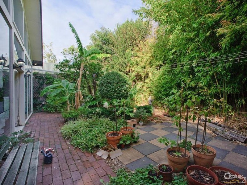23 Buller Street, Prospect SA 5082
