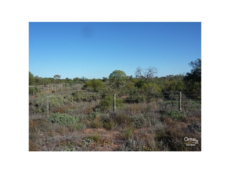 18 FRANCIS STREET, Stirling North SA 5710