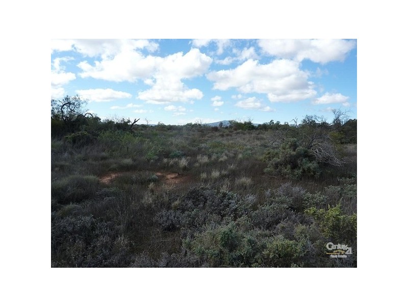 LOT 1 FRANCIS STREET, Stirling North SA 5710