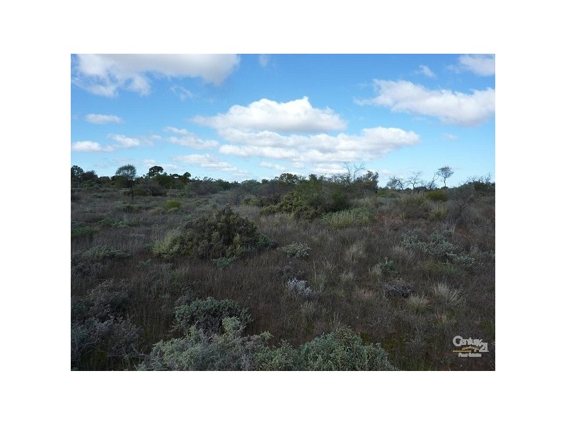 LOT 1 FRANCIS STREET, Stirling North SA 5710