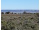 76 McConnal Road, Stirling North SA 5710
