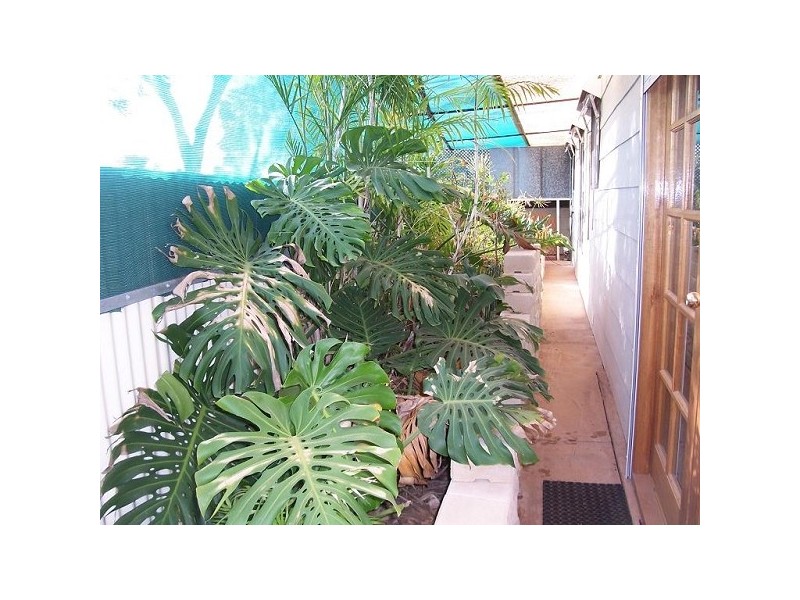 43 JOHNSON AVENUE, Stirling North SA 5710