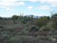LOT 3 FRANCIS STREET, Stirling North SA 5710
