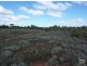 LOT 3 FRANCIS STREET, Stirling North SA 5710