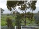 31a Progress Avenue, Stirling North SA 5710