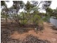 2 WASTELL STREET, Stirling North SA 5710