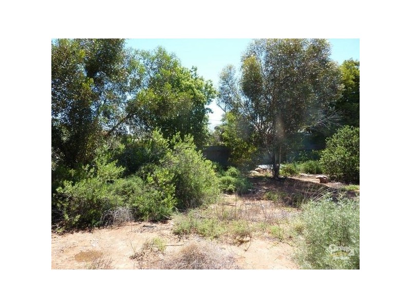 LOT 780 QUORN ROAD, Stirling North SA 5710