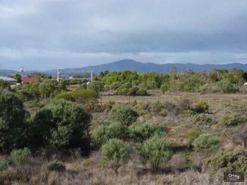 Allotment 100 Francis Street, Stirling North SA 5710