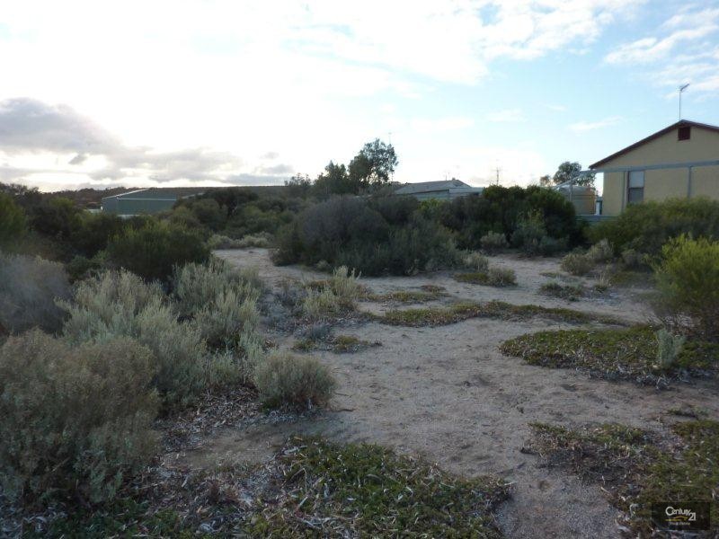 21 Pool Crescent, Miranda SA 5700