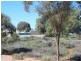 Lot 34 Paltridge Avenue, Stirling North SA 5710