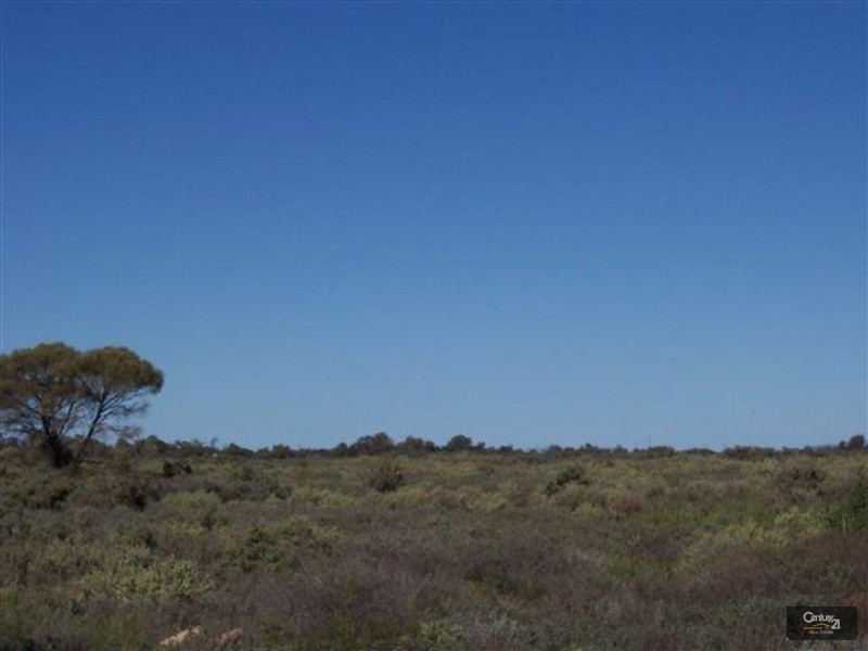 Lot 35 Paltridge Avenue, Stirling North SA 5710