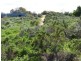 Lot 809 Woodroffe Court, Port Augusta West SA 5700