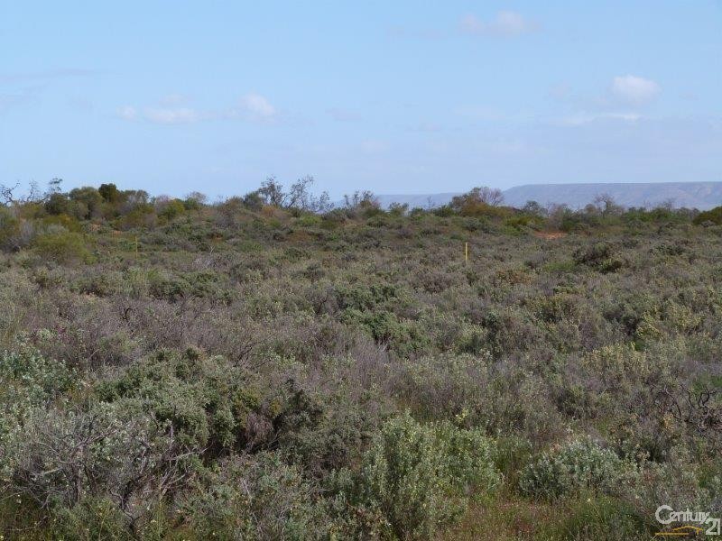 Lots 14-19 Harris Street, Stirling North SA 5710