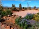 Lot 20 Port Paterson Road, Stirling North SA 5710