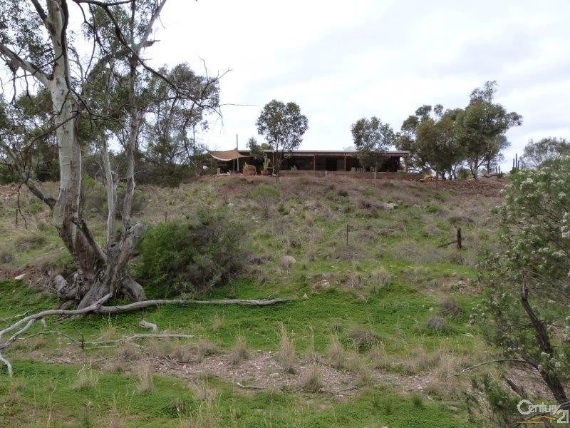 1747 Flinders Ranges Way, Quorn SA 5433
