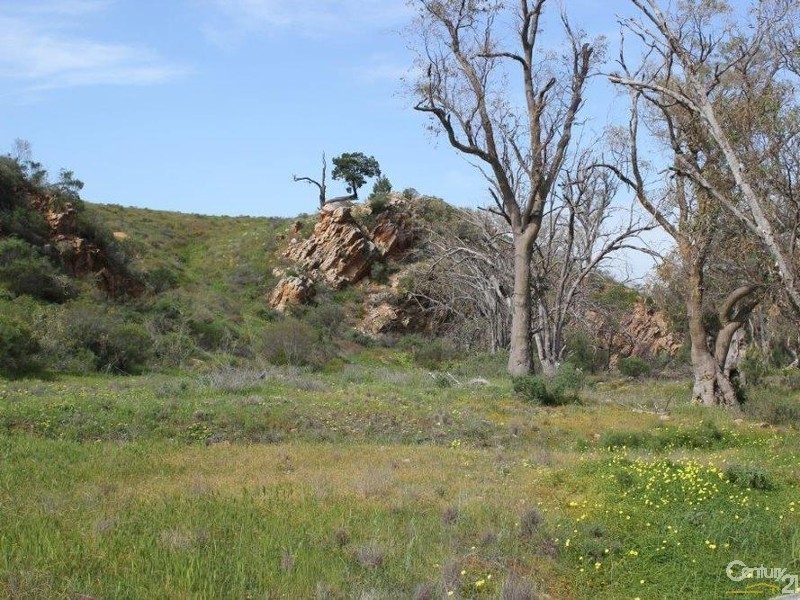 1747 Flinders Ranges Way, Quorn SA 5433