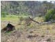 1747 Flinders Ranges Way, Quorn SA 5433