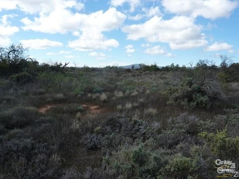 0 Francis Street, Stirling North SA 5710