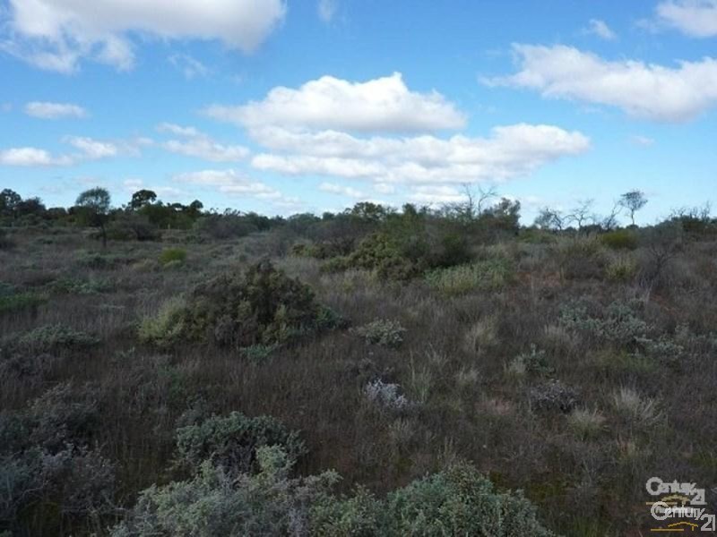 0 Francis Street, Stirling North SA 5710