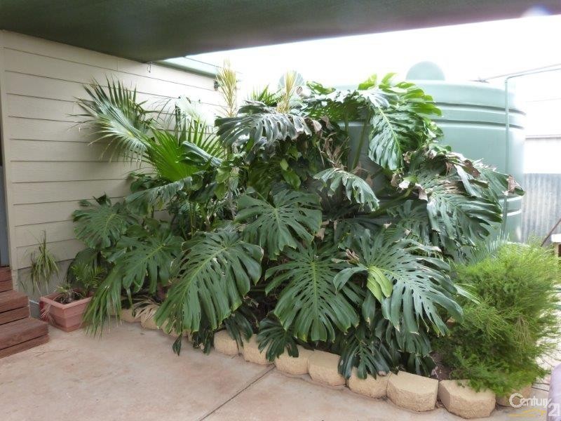 19 Wastell Street, Stirling North SA 5710