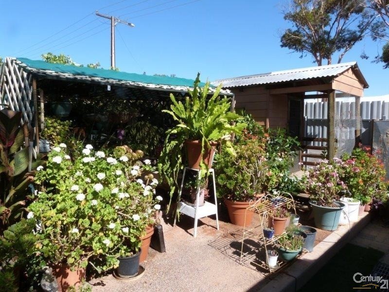 13 Alexander Street, Port Augusta West SA 5700