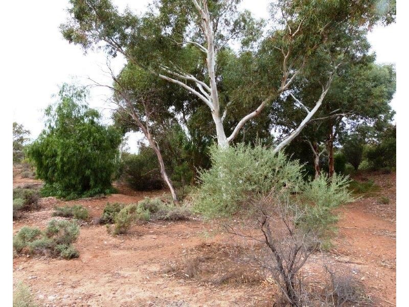 471 Flinders Ranges Way, Stirling North SA 5710