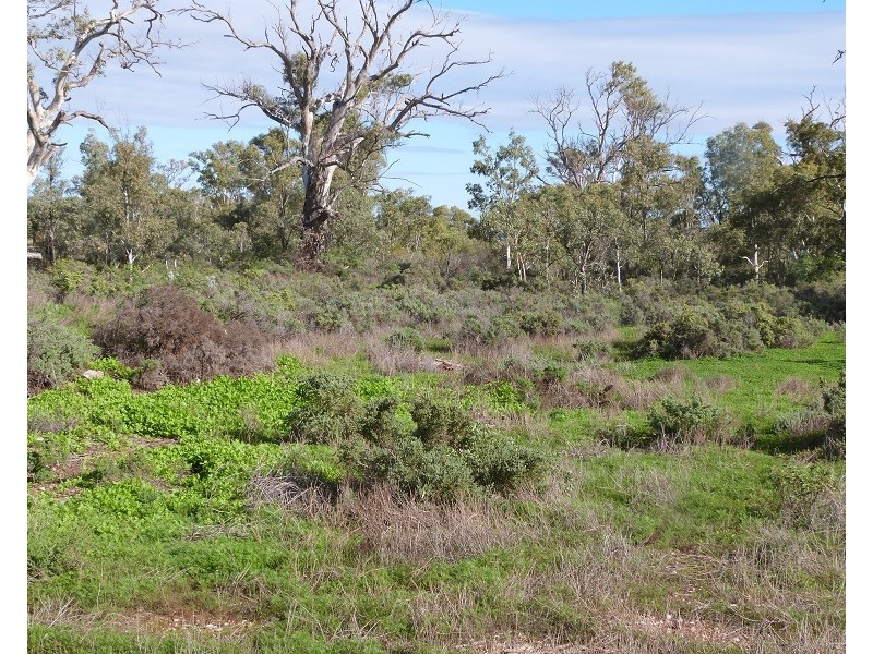 471 Flinders Ranges Way, Stirling North SA 5710