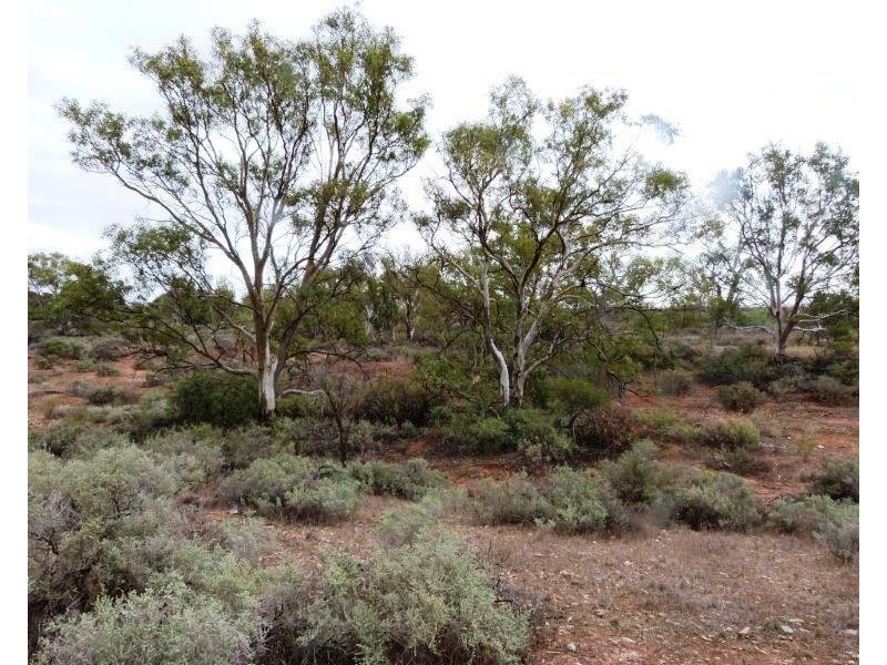 471 Flinders Ranges Way, Stirling North SA 5710