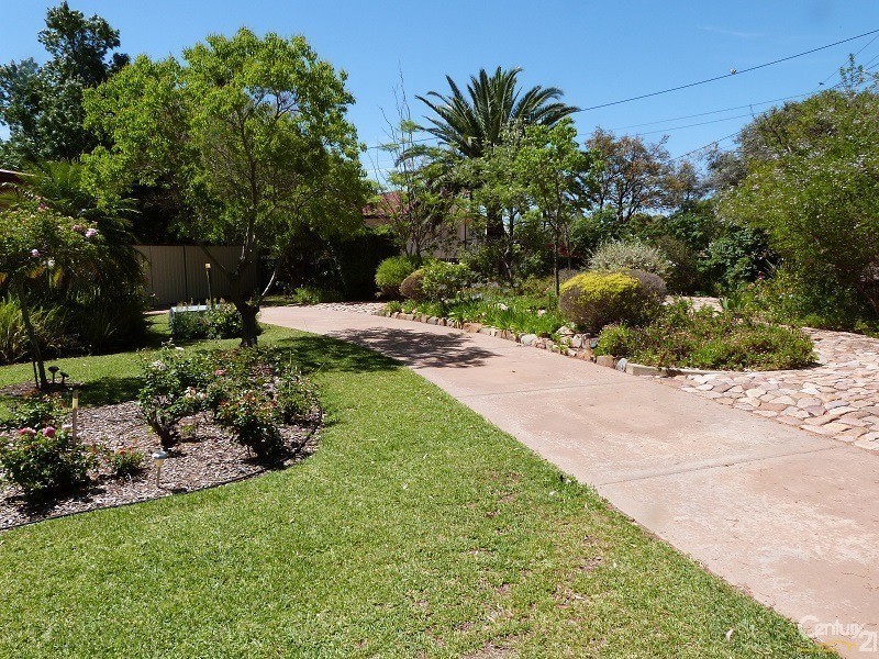 3 Willoughby Street, Stirling North SA 5710