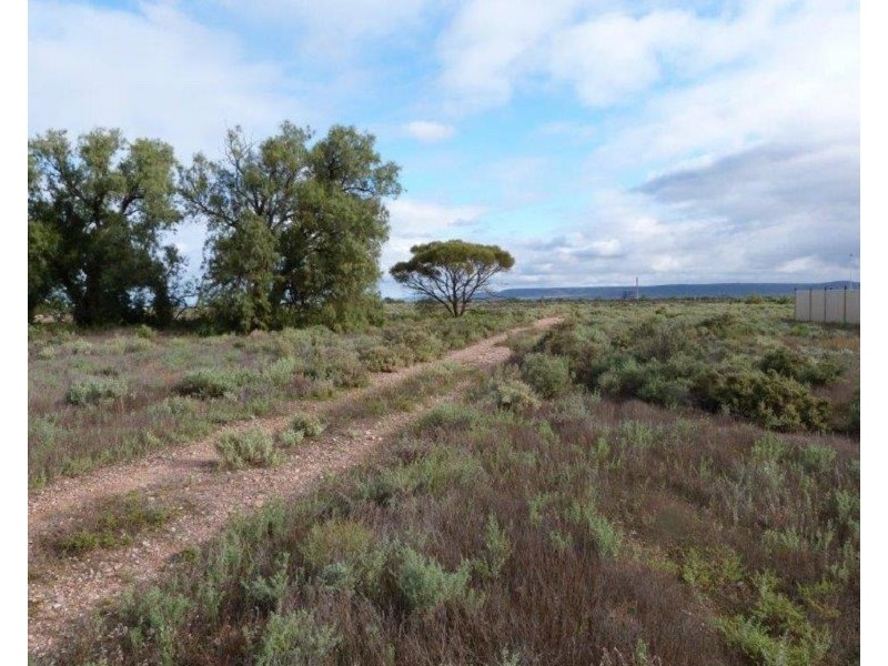 23 Paltridge Avenue, Stirling North SA 5710