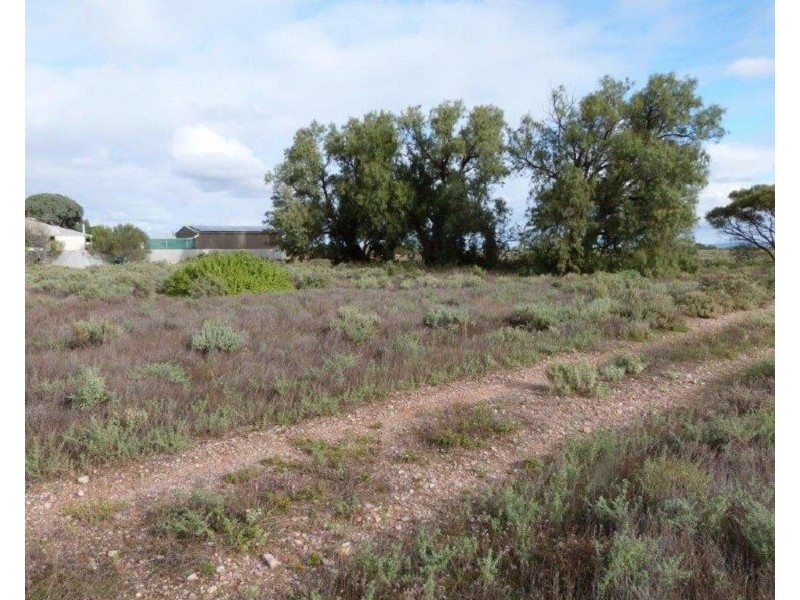 23 Paltridge Avenue, Stirling North SA 5710