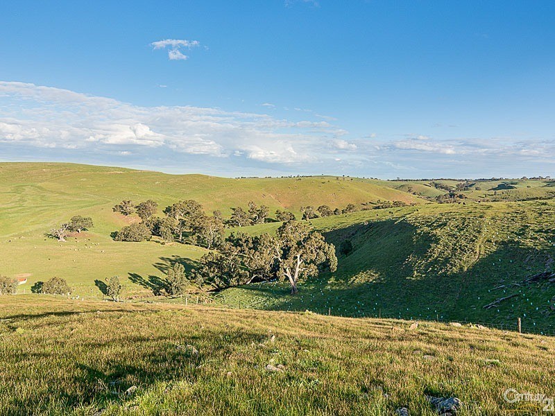 483 Ironstone Range Road, Petwood SA 5254