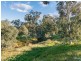 483 Ironstone Range Road, Petwood SA 5254