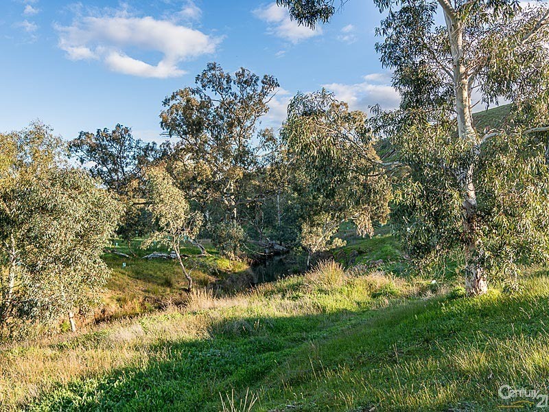 483 Ironstone Range Road, Petwood SA 5254