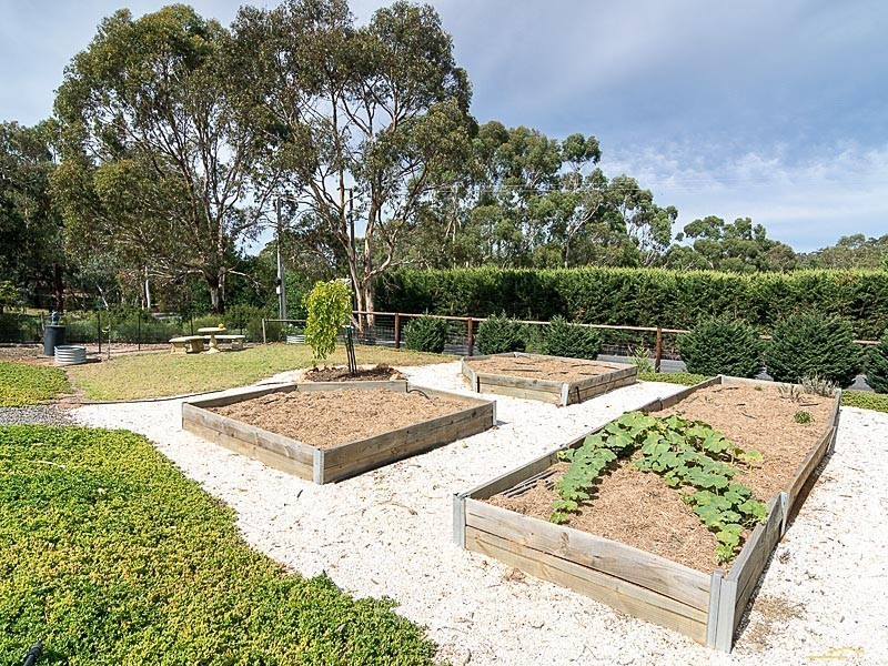 11 Chester Court, Blakiston SA 5250