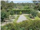 11 Chester Court, Blakiston SA 5250