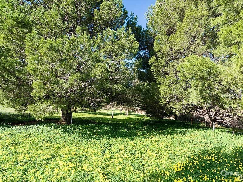 48 Rodwell Road, Woodchester SA 5255