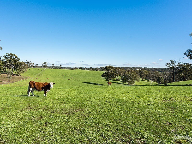 Corner Razorback Road and Kingsway Road, Meadows SA 5201