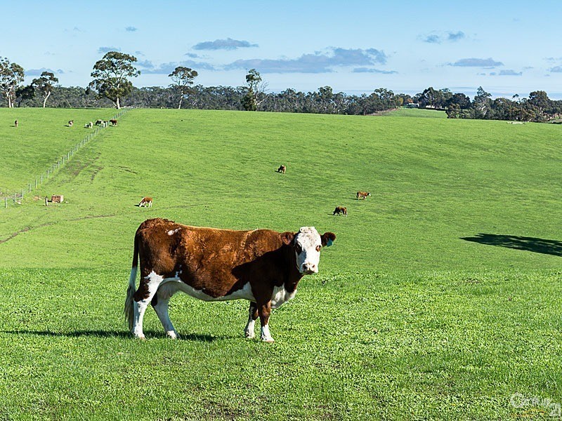 Corner Razorback Road and Kingsway Road, Meadows SA 5201
