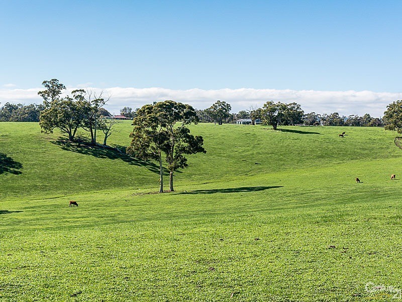 Corner Razorback Road and Kingsway Road, Meadows SA 5201