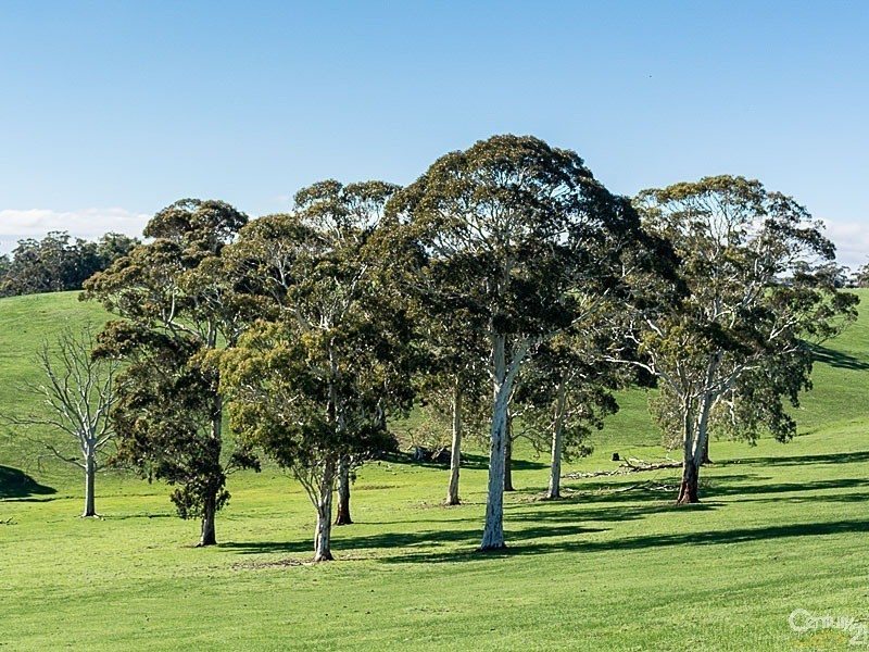 Corner Razorback Road and Kingsway Road, Meadows SA 5201