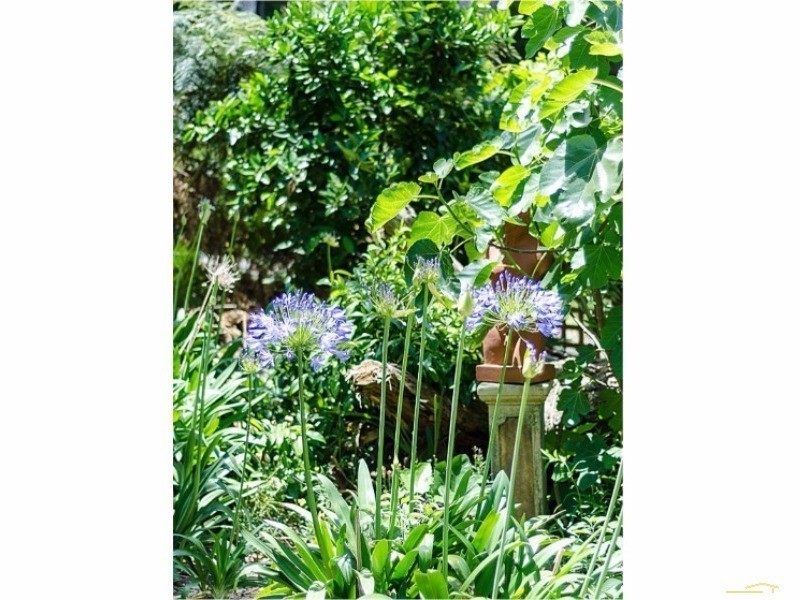 25 Hill View Road, Bridgewater SA 5155