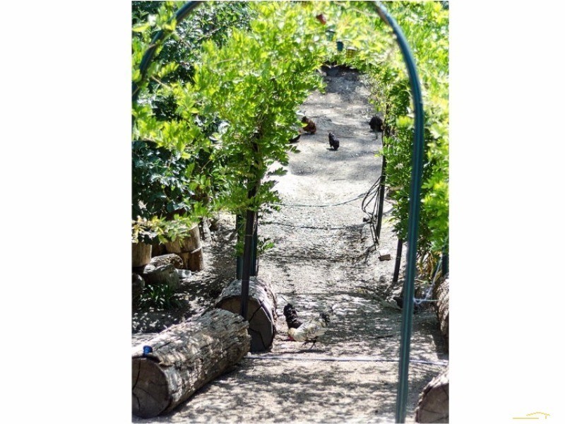 25 Hill View Road, Bridgewater SA 5155