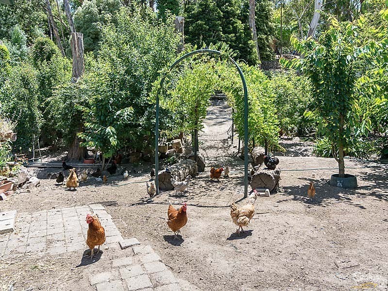 25 Hill View Road, Bridgewater SA 5155