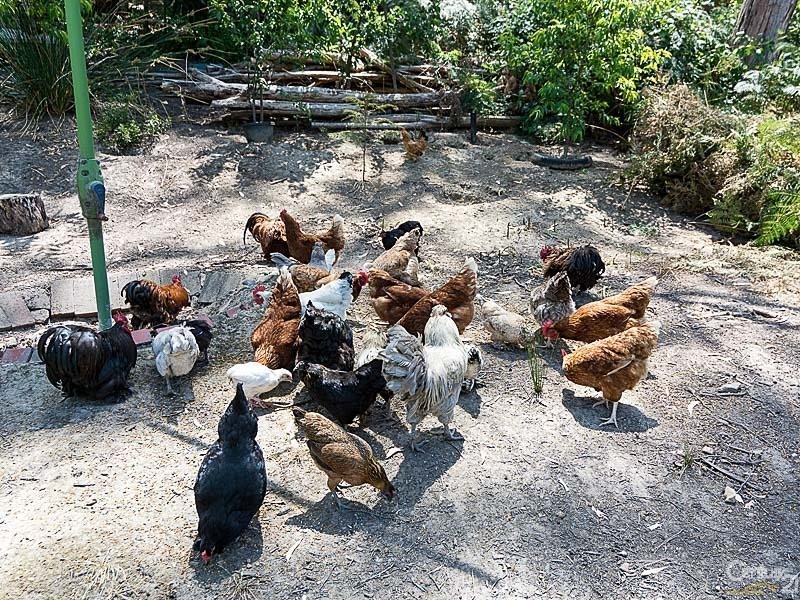 25 Hill View Road, Bridgewater SA 5155