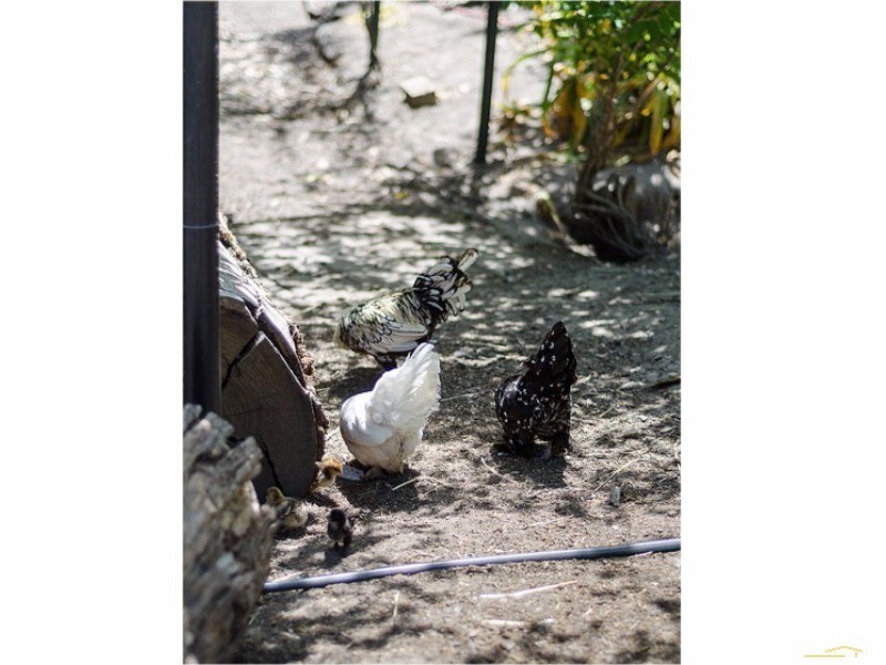 25 Hill View Road, Bridgewater SA 5155