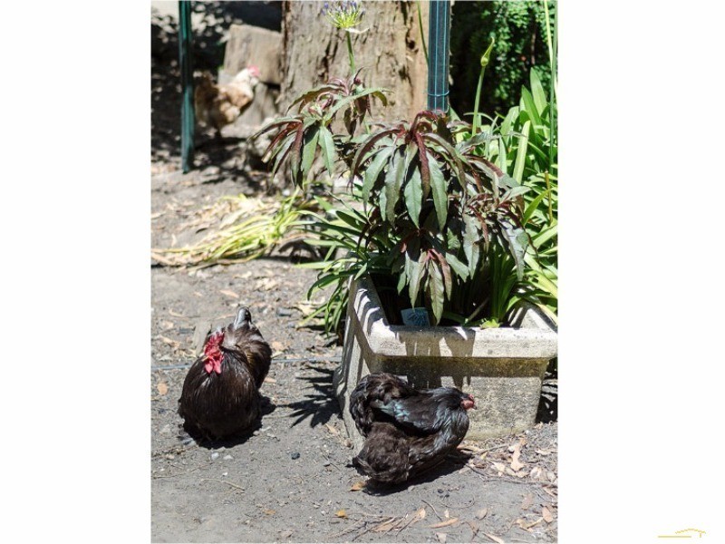 25 Hill View Road, Bridgewater SA 5155